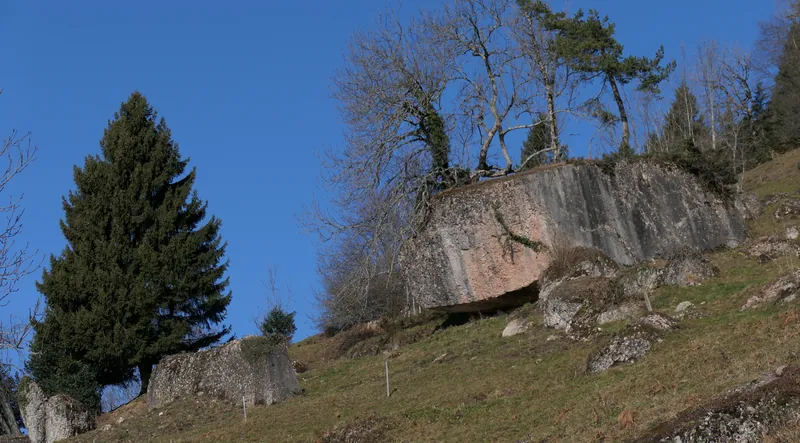 Rigi, stocked boulder (02.01.2020)