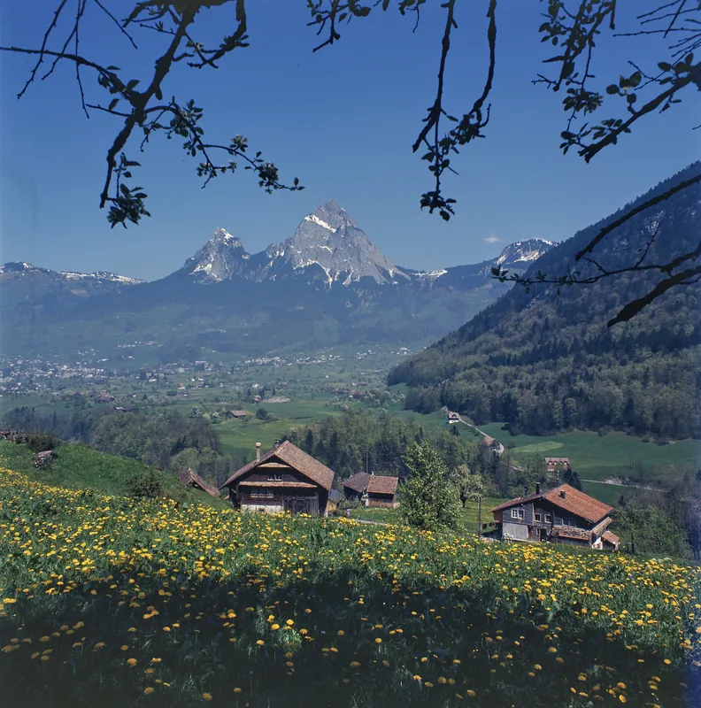 Rigi, Lauerzersee Region, including Rigi (1975)