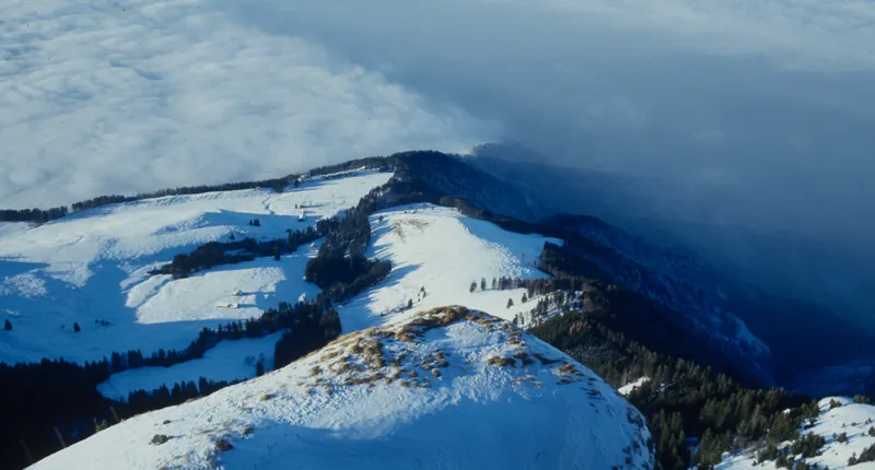 Rigi, sea of fog (1991)