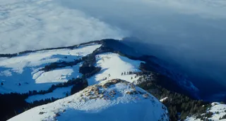 Rigi, sea of fog (1991)