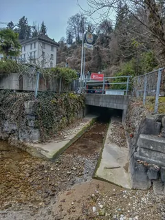 Mündung des Vorder Lützelaubachs in den Vierwaldstättersee, Weggis LU 20251226-jag9889 (2025-12-26 14:43:38)