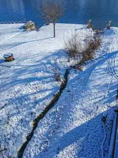 Langweidbächli, Küssnacht SZ 20260107-jag9889 (2026-01-07 11:34:03)