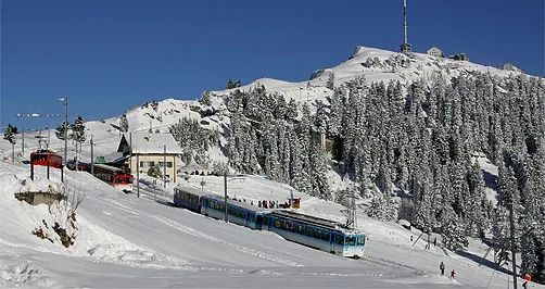 Picswiss SZ-29-59 (2005-12-30)