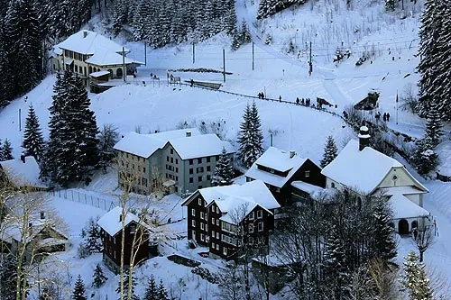 Picswiss SZ-29-69 (2005-12-30)