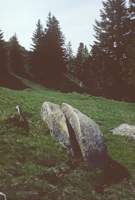 Rigi, erratic boulder of the Reuss glacier near Gottertli (1981)