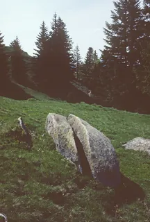 Rigi, erratic boulder of the Reuss glacier near Gottertli (1981)