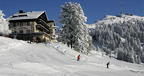 Picswiss SZ-29-35 (2005-12-30)