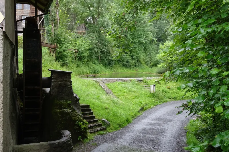 Küssnacht am Rigi, Seebodenstrasse, bone stamping mill with water wheel and pond (10.07.2014)
