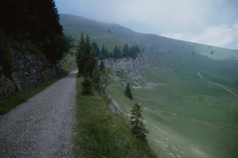 Route of the Rigi-Kaltbad-Scheidegg Railway (RSB) (8/1994)