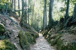 Küssnacht am Rigi, Tell Chapel (1985)