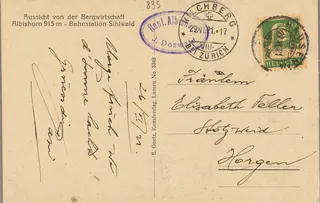 View from the mountain inn Albishorn 915 m, railroad station Sihlwald, Urirotstock, Wallenstöcke [Walenstöcke], Titlis, Rigi (vor 26.6.1921)
