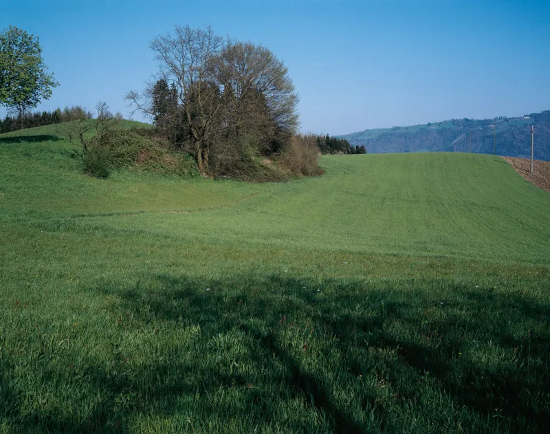 Risch ZG, On golf course southeast of Holzhäusern with the Kathrinenhof, in the background the Zugerberg, Buonas and Rigi (30.03.1994)