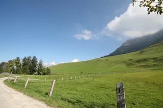 Rigi_Kulm_102