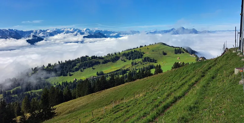 20240906.Rigi Kulm.-016 (2024-09-06 10:49:25)