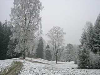 Küssnacht a. Rigi, Schlittenried (26.12.2007)