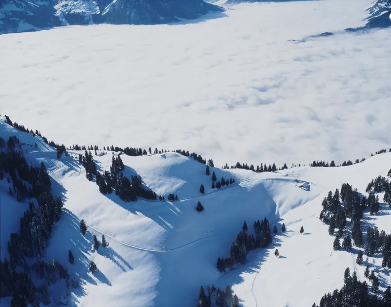 Rigi, Würzenstock (16.01.1995)