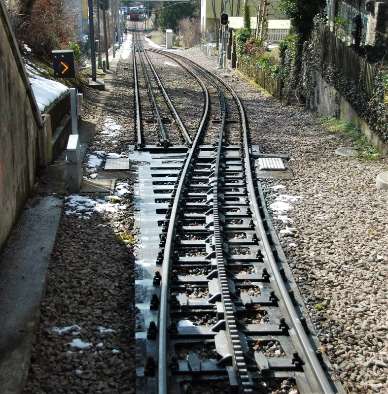 Federweichen Dolderbahn (2) (2009-02-25 14:32:46)