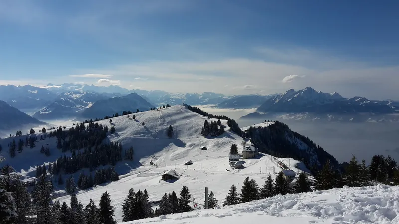 Rigi.133241 (2017-02-11 13:32:40)