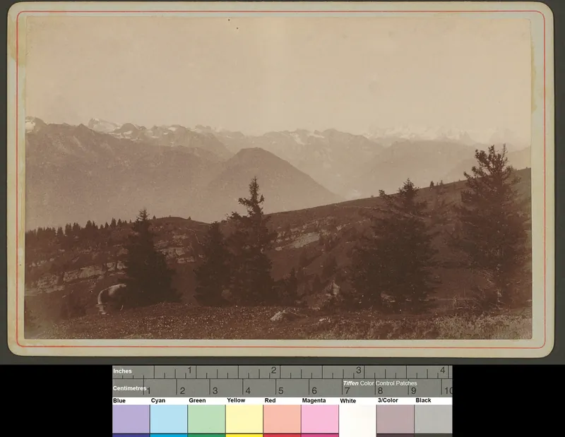 Rigi. Berneralpen vom Kulmweg (1886)