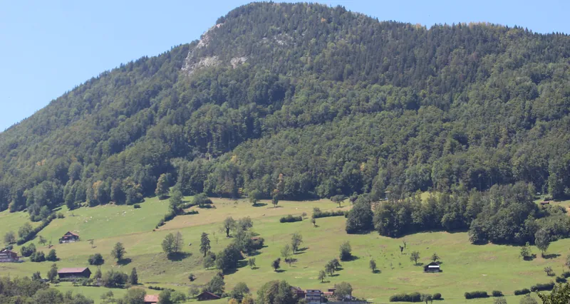 Urmiberg (2019-07-30 14:30:27)