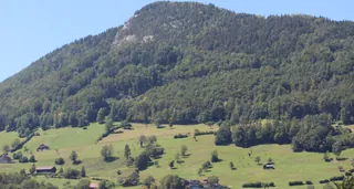 Urmiberg (2019-07-30 14:30:27)