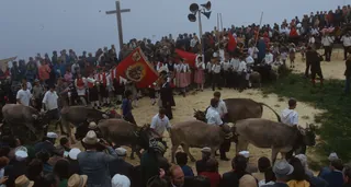 Rigi-Schwinget, wrestling festival (1974)