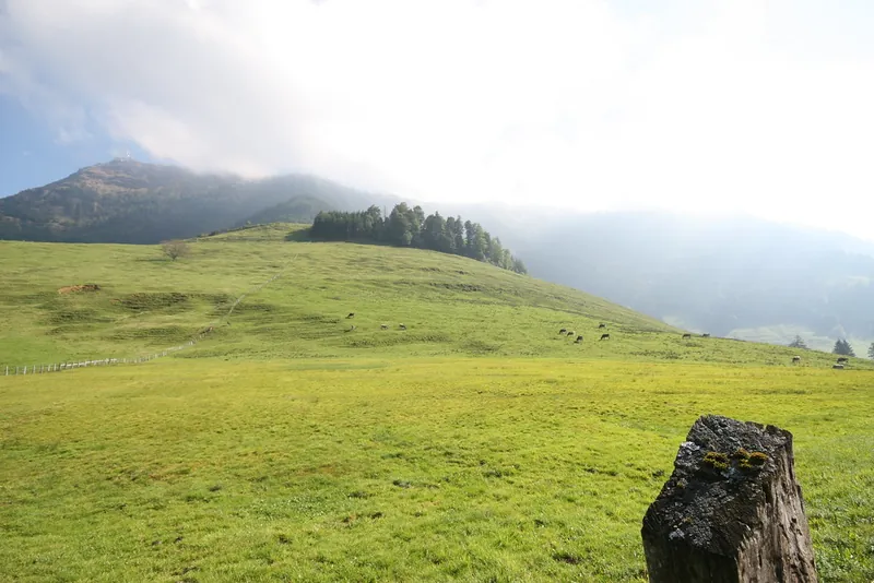 Rigi_Kulm_101