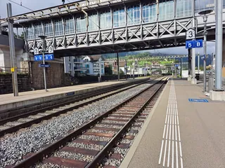 20240906.Arth-Rigi-Bahn.-016 (2024-09-06 09:48:14)