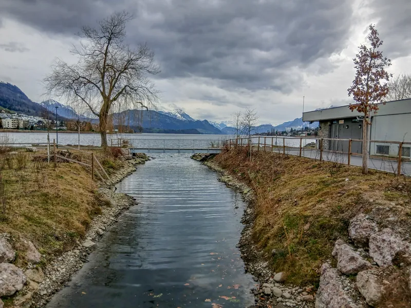 Mündung des Giessenbachs in den Vierwaldstättersee, Küssnacht SZ 20260102-jag9889 (2026-01-02 15:03:23)