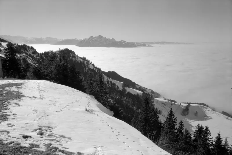 Rigi, winter landscapes (29.01.1991)