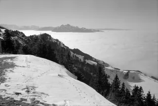 Rigi, winter landscapes (29.01.1991)