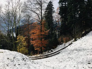 Color and the Snow (2017-11-19 13:35:14)