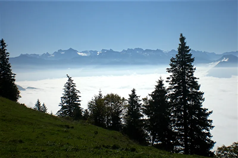Rigi-First (Taken on 17 October 2011, 13:10:13)