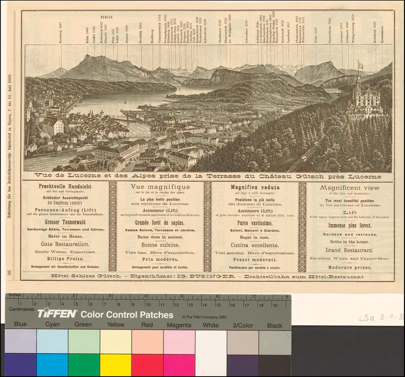 Vue de Lucerne et des alpes prise de la terrasse du Château Gütsch près Lucerne (1889)