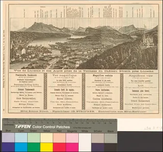 Vue de Lucerne et des alpes prise de la terrasse du Château Gütsch près Lucerne (1889)