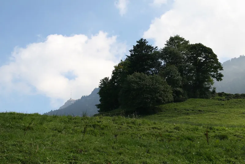 Rigi_Kulm_44