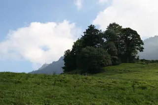 Rigi_Kulm_44