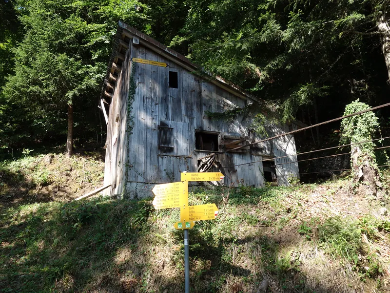 Rigi Dächli Materialseilbahn (2022-07-19 10:02:46)