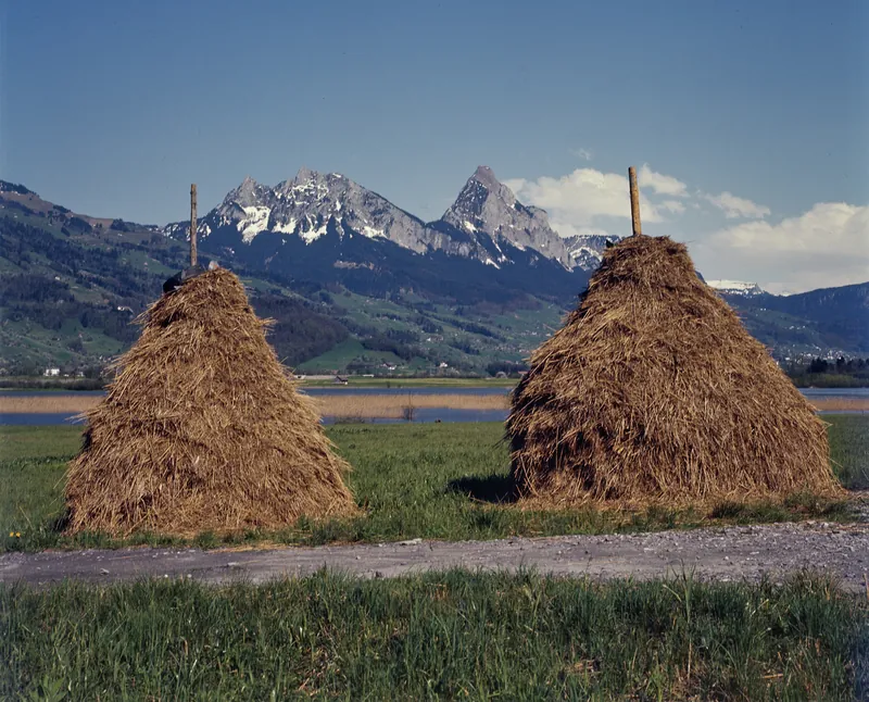 Rigi, Lauerzersee Region, including Rigi (1975)