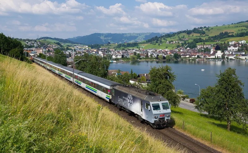 SOB Re 446 017 mit VAE in Küssnacht (2015-06-17 17:01:27)