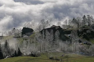 Rigi, billowing fog near Ober Säntiberg (02.01.2020)