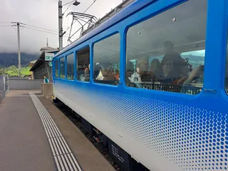 20240906.Arth-Rigi-Bahn.-021 (2024-09-06 09:58:24)