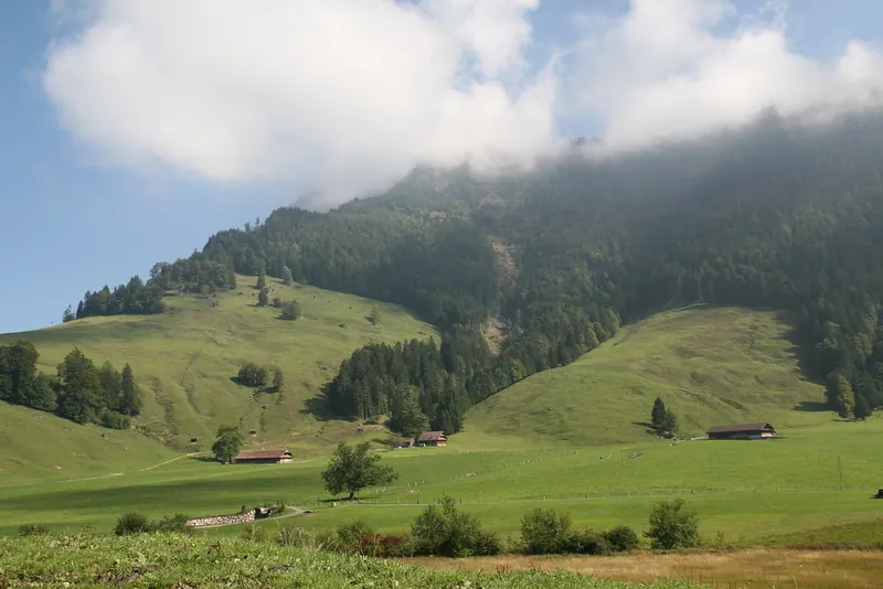 Rigi_Kulm_88