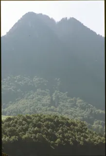 Veduta da Beckenried sopra Gersau