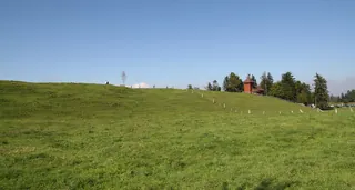 Rigi_Kulm_108