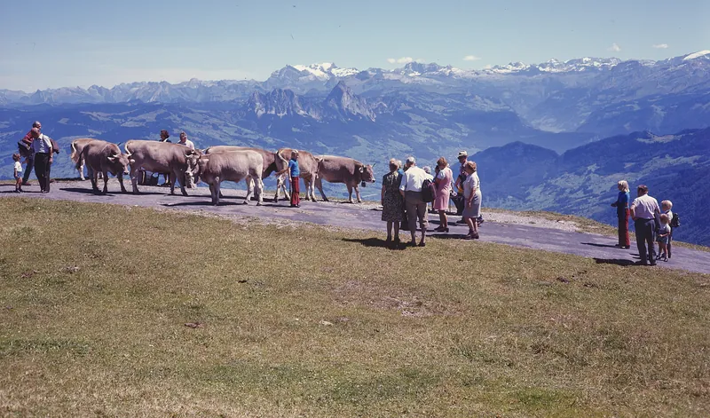 Rigi, Hiking in the Summer (1975)