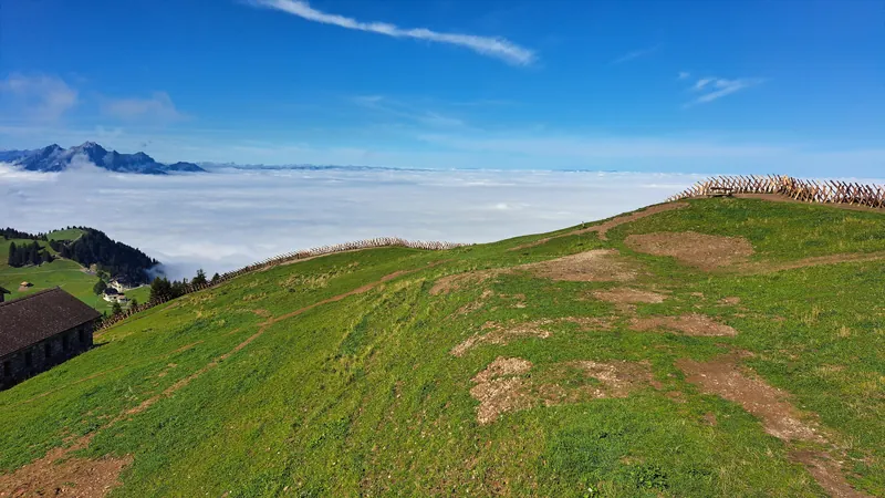 20240906.Rigi Kulm.-017 (2024-09-06 10:56:21)