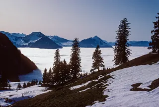 Rigi, near Felmisegg with sea of fog (1991)
