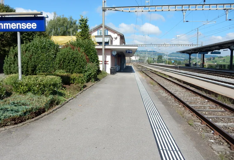 Küssnacht am Rigi, Immensee, Bahnhofstrasse, SBB railroad area (08.09.2015)