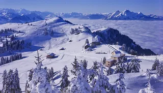 Rigi, Winter Scenery (1991)
